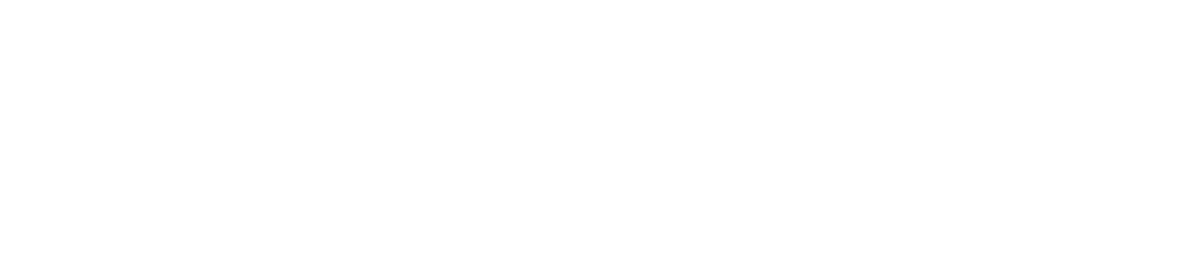 South Carolina University logo