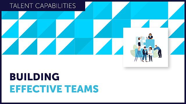 Building Effective Teams On Demand