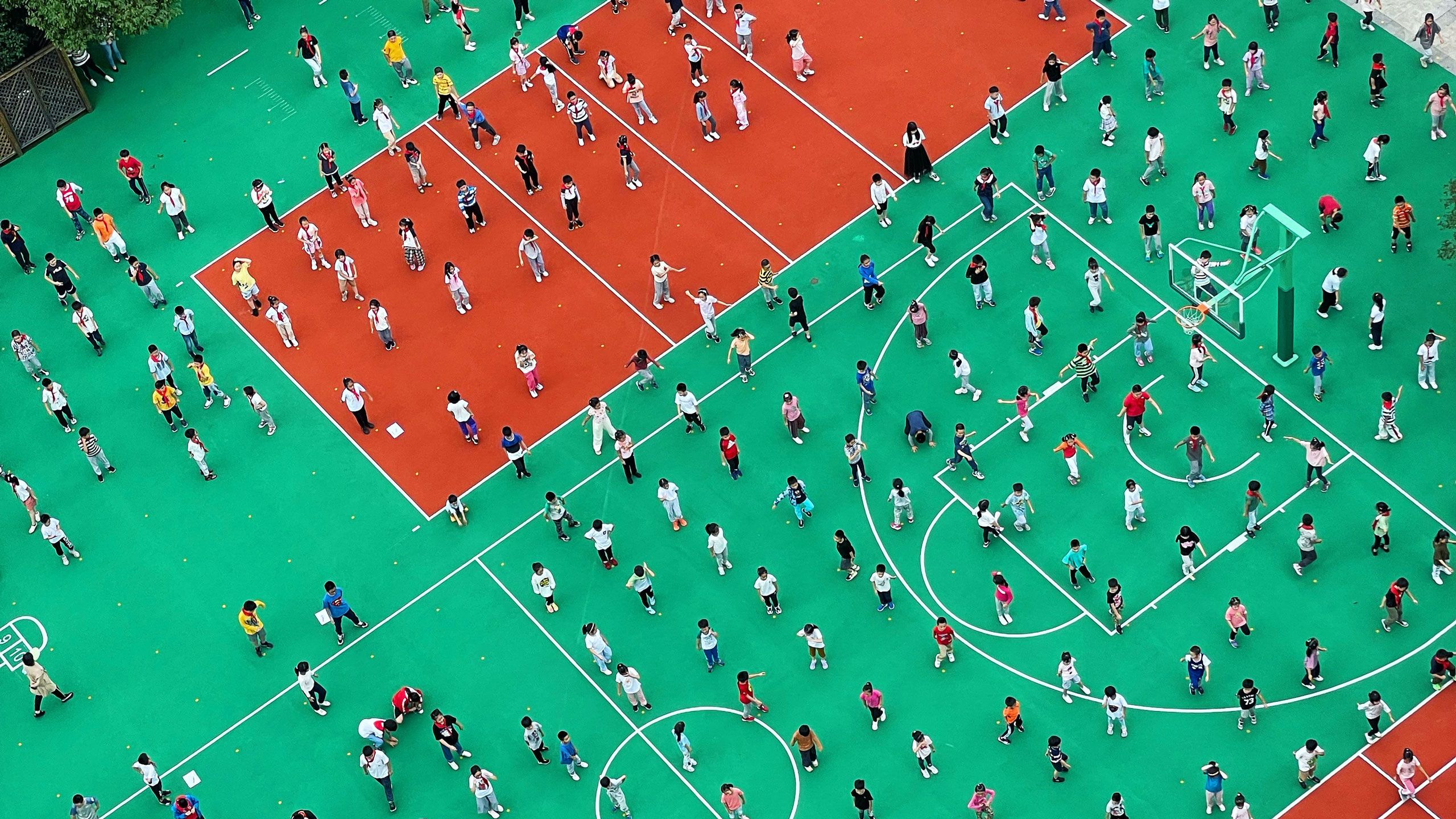 Colourful people from above learning concept
